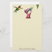 ハチドリ鳥野生動物文房具 便箋 (正面/裏面)