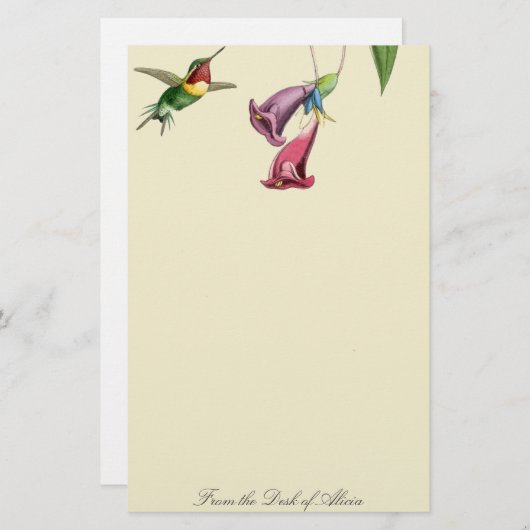 ハチドリ鳥野生動物文房具 便箋 (正面/裏面)