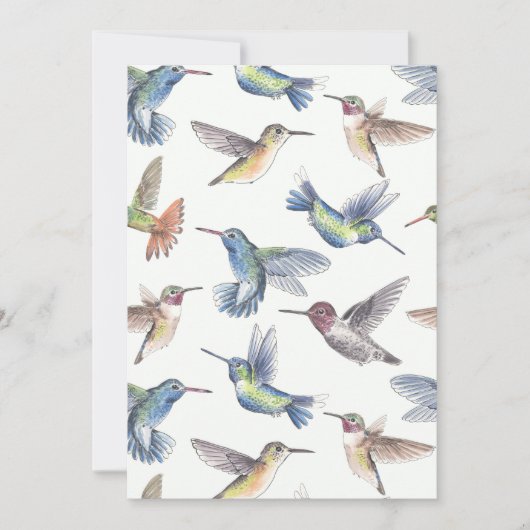 ハチドリ (正面)