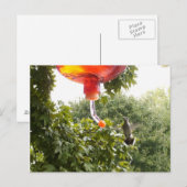 ハチドリ2,ポストカード ポストカード (正面/裏面)