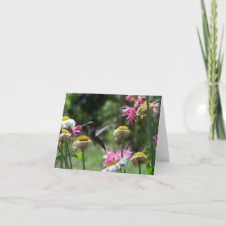 ハチドリ4 カード