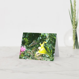 ハチドリ5 カード