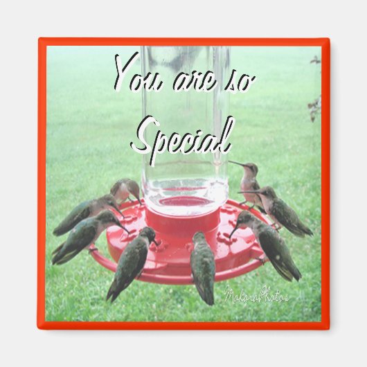 ハチドリ7 カスタマイズ- マグネット (正面)