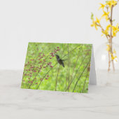 ハチドリ カード (黄色い花)