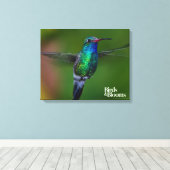 ハチドリ キャンバスプリント (インサイチュ (ウッドフロア))