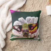 ハチドリ クッション (ブランケット)