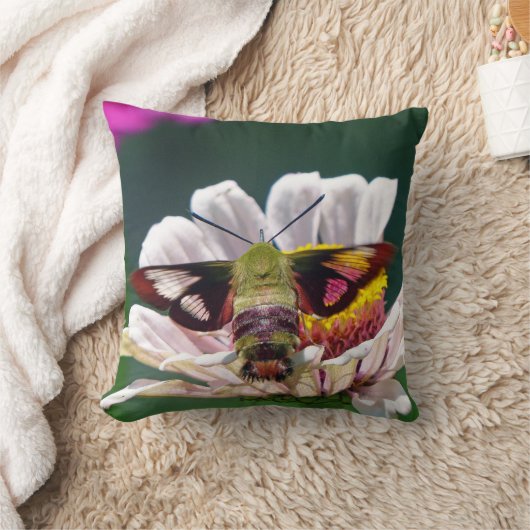 ハチドリ クッション (ブランケット)