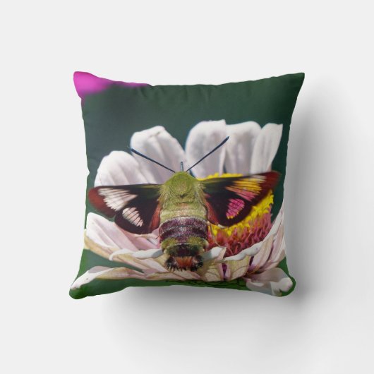 ハチドリ クッション (裏面)