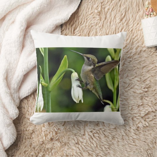 ハチドリ クッション (ブランケット)