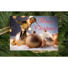 ハチドリ クリスマスカード カード