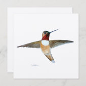 ハチドリ サンキューカード (正面/裏面)