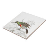 ハチドリ タイル (側面)