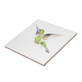 ハチドリ タイル (側面)