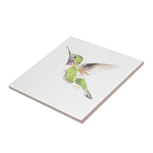 ハチドリ タイル (側面)