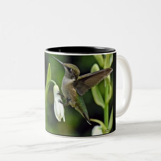 ハチドリ ツートーンマグカップ (正面右)
