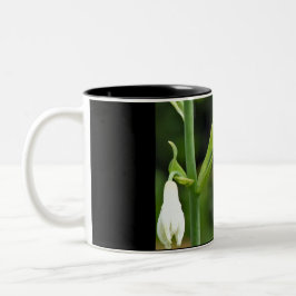 ハチドリ ツートーンマグカップ