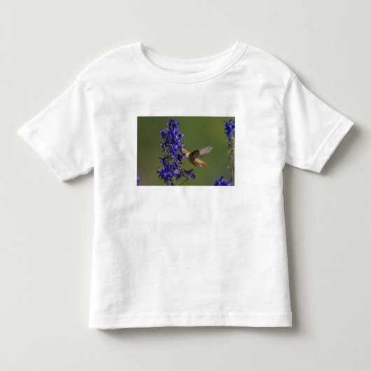 ハチドリ トドラーTシャツ (正面)