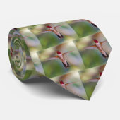 ハチドリ ネクタイ (ロール)