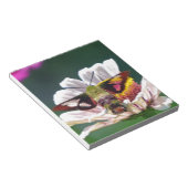 ハチドリ ノートパッド (アングル)