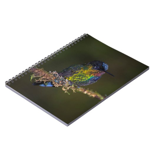 ハチドリ ノートブック (左側)