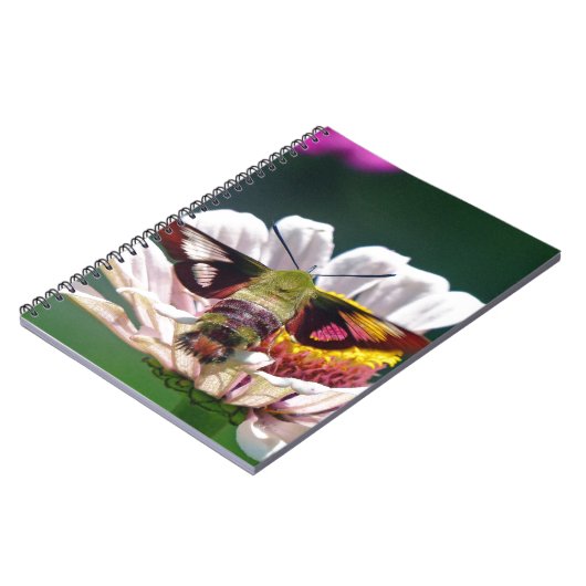 ハチドリ ノートブック (左側)