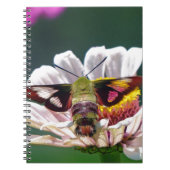 ハチドリ ノートブック (正面)