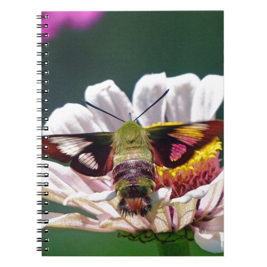ハチドリ ノートブック (正面)