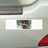 ハチドリ バンパーステッカー (車上)