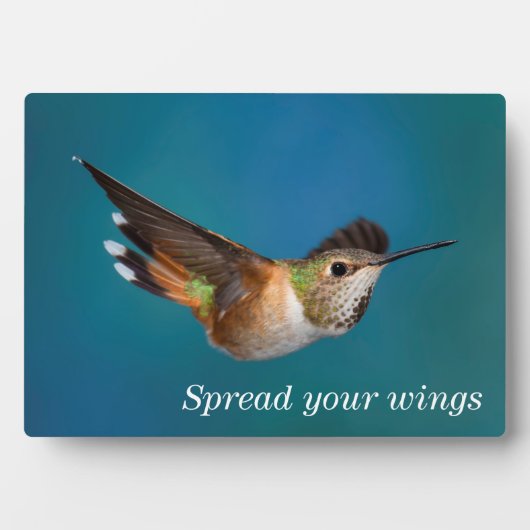 ハチドリ フォトプラーク (正面)