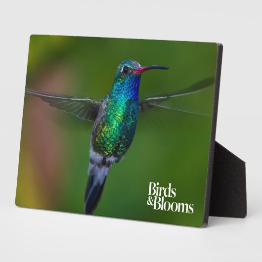 ハチドリ フォトプラーク (側面)