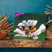 ハチドリ フォトプラーク (側面)