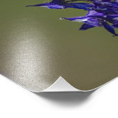 ハチドリ フォトプリント            (角)