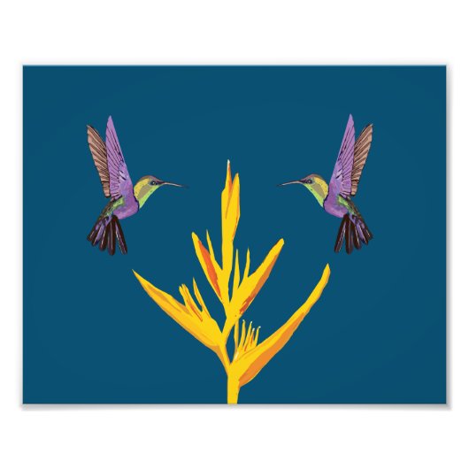 ハチドリ フォトプリント            (正面)