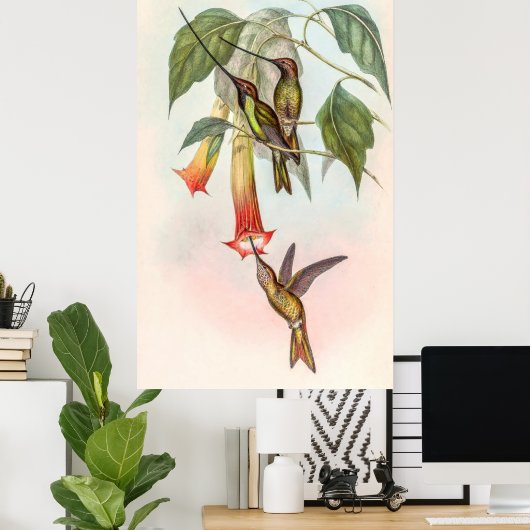 ハチドリ ポスター (ホームオフィス)