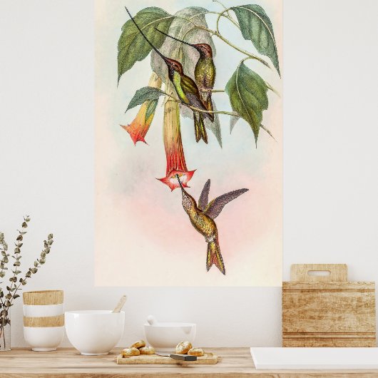 ハチドリ ポスター (キッチン)