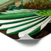 ハチドリ ポスター (角)