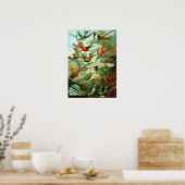 ハチドリ ポスター (キッチン)