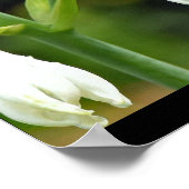 ハチドリ ポスター (角)