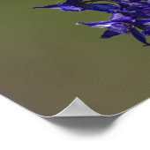 ハチドリ ポスター (角)