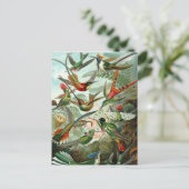 ハチドリ ポストカード (スタンド正面)