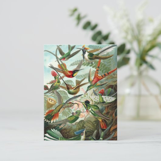 ハチドリ ポストカード (スタンド正面)