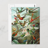 ハチドリ ポストカード (正面/裏面)