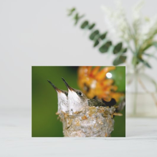 ハチドリ ポストカード (スタンド正面)