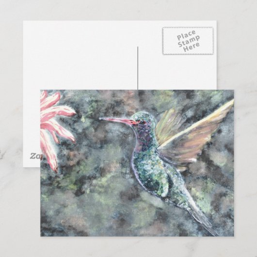 ハチドリ ポストカード (正面/裏面)