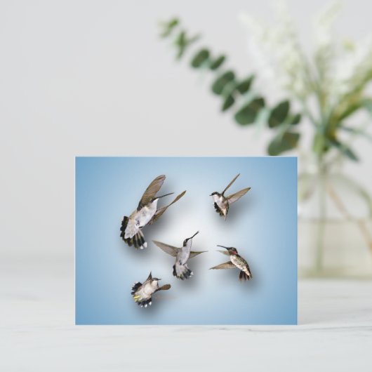 ハチドリ ポストカード (スタンド正面)