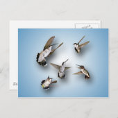 ハチドリ ポストカード (正面/裏面)