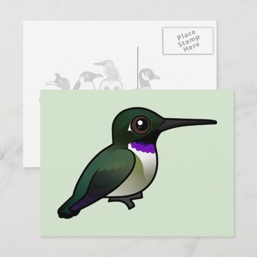ハチドリ ポストカード (正面/裏面)