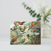 ハチドリ ポストカード (スタンド正面)