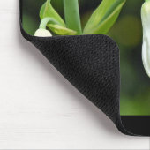 ハチドリ マウスパッド (コーナー)