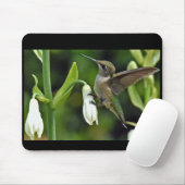 ハチドリ マウスパッド (マウス)
